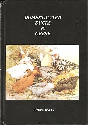 Seller image for DOMESTICATED DUCKS AND GEESE. By Joseph Batty. for sale by Coch-y-Bonddu Books Ltd