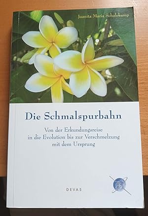 Image du vendeur pour Die Schmalspurbahn - Von der Erkundungsreise in die Evolution bis zur Verschmelzung mit dem Ursprung mis en vente par Bcherwelt Wagenstadt