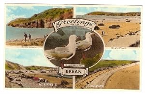 Brean Postcard From Mr. And Mrs. C Gull Vintage 1959