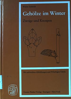 Image du vendeur pour Gehlze im Winter : Zweige und Knospen. mis en vente par books4less (Versandantiquariat Petra Gros GmbH & Co. KG)