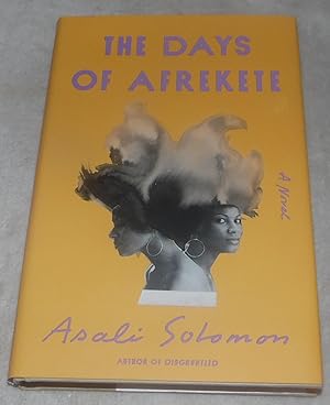 Bild des Verkufers fr The Days of Afrekete: A Novel zum Verkauf von Pheonix Books and Collectibles