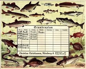 Stundenplan Fischhandlung Christian Christiansen, Nürnberg, Süßwasserfische, Hecht, Karpfen um 1930