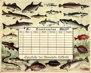 Stundenplan Sparkasse der Gemeinde Lokstedt Hamburg, Süßwasserfische Hecht, Scholle um 1930
