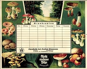 Stundenplan Sparkasse des Kreises Stormarn, Nicht essbare Pilze, Giftpilze, Fliegenpilz um 1930