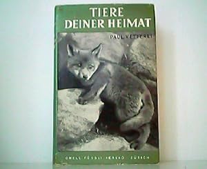 Seller image for Tiere deiner Heimat. 5. Auflage. for sale by Antiquariat Kirchheim