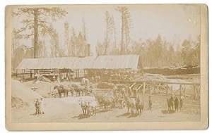 Montana Lumberyard