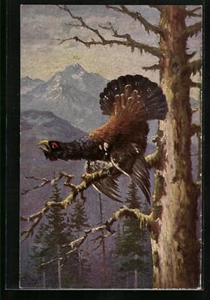 Künstler-Ansichtskarte Degi Nr. 1281: Auerhahn auf einem Baum sitzend, Ölgemälde-Imitations-AK