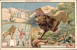 Image du vendeur pour Litho Reklame, Chocolat Lombard, Les Grandes Chasses, le Lion, Lwe, Zirkus mis en vente par akpool GmbH