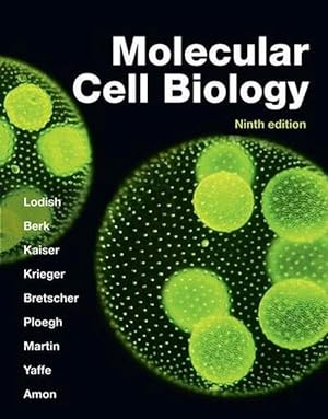 Seller image for Molecular Cell Biology (IE) (Paperback) for sale by Grand Eagle Retail