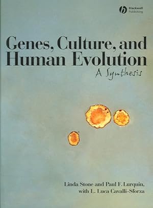 Image du vendeur pour Genes, Culture, And Human Evolution : A Synthesis mis en vente par GreatBookPricesUK