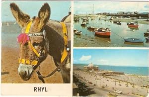 Rhyl Postcard Wales Donkey Vintage 1970's