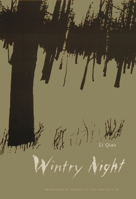 Immagine del venditore per Wintry Night (Paperback or Softback) venduto da BargainBookStores