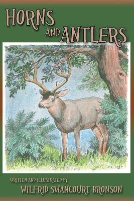 Seller image for Horns and Antlers (Paperback or Softback) for sale by BargainBookStores