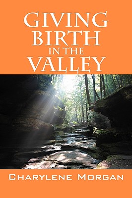 Imagen del vendedor de Giving Birth in the Valley (Paperback or Softback) a la venta por BargainBookStores