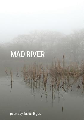 Seller image for Mad River (Paperback or Softback) for sale by BargainBookStores