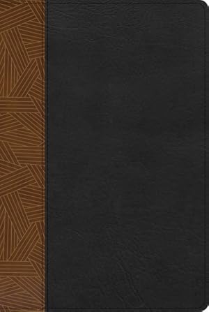 Imagen del vendedor de Sagrada Biblia/ Holy Bible : Reina-valera 1960 Biblia De Estudio Arco Iris, Tostado/Negro Smil Piel/ Reina-valera 1960 Rainbow Study Bible, Tan/Black Imitation Leather -Language: spanish a la venta por GreatBookPrices