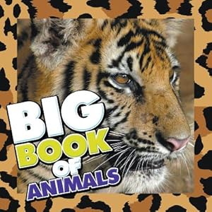 Seller image for Big Book of Animals (Paperback or Softback) for sale by BargainBookStores