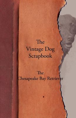 Seller image for The Vintage Dog Scrapbook - The Chesapeake Bay Retriever (Paperback or Softback) for sale by BargainBookStores