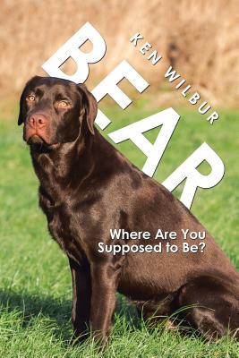 Seller image for Bear: Where Are You Supposed to Be? (Paperback or Softback) for sale by BargainBookStores