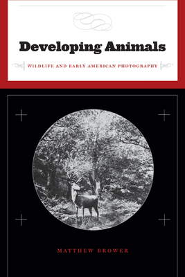 Seller image for Developing Animals: Wildlife and Early American Photography (Paperback or Softback) for sale by BargainBookStores