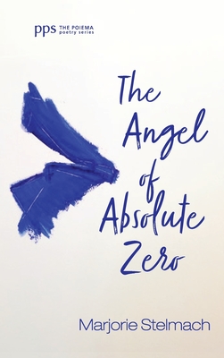 Imagen del vendedor de The Angel of Absolute Zero (Hardback or Cased Book) a la venta por BargainBookStores
