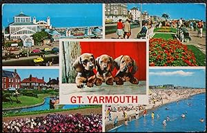 Gt. Yarmouth Postcard Three Dogs 1973 Postcard