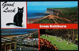 Saltburn Yorks Postcard Lucky Black Cat Series