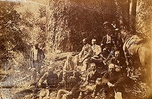 Scene of 13 gentlemen with Kauri tree. Early New Zealand