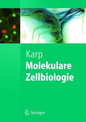 Molekulare Zellbiologie (Springer-Lehrbuch)