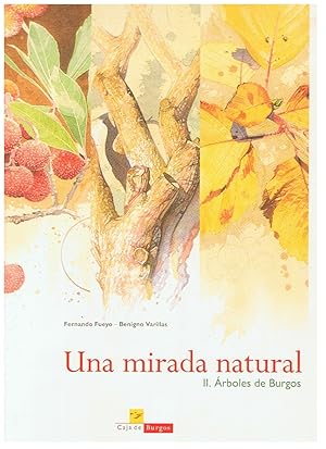 Imagen del vendedor de UNA MIRADA NATURAL. II. rboles de Burgos a la venta por Librera Torren de Rueda