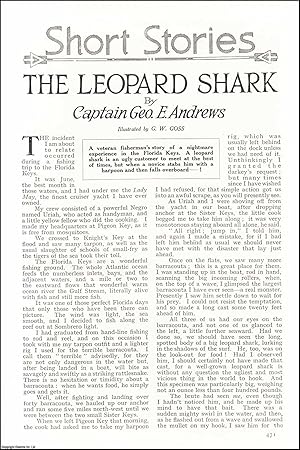 Seller image for The Leopard Shark, Florida Keys. An uncommon original article from the Wide World Magazine, 1931. for sale by Cosmo Books