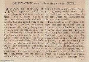 Seller image for Observations on the Sagacity of the Spider. An original article from the Literary Magazine & British Review, 1790. for sale by Cosmo Books