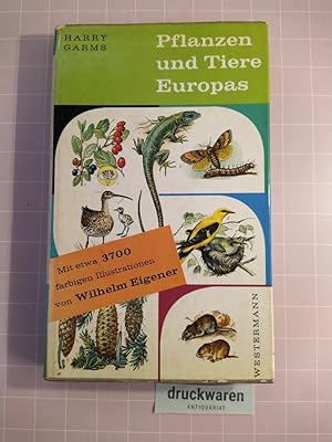 Bild des Verkufers fr Pflanzen und Tiere Europas. Ein Bestimmungsbuch. [Farb. ill. von Wilhelm Eigener]. zum Verkauf von Druckwaren Antiquariat