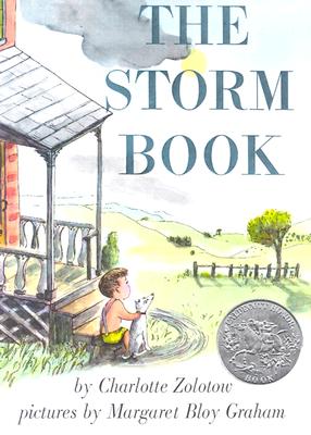 Imagen del vendedor de The Storm Book (Paperback or Softback) a la venta por BargainBookStores
