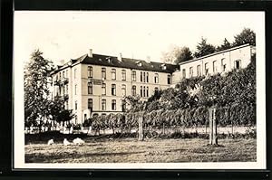 Image du vendeur pour Ansichtskarte Valkenburg, Gnse auf Wiese vor Park Hotel Rooding mis en vente par Bartko-Reher