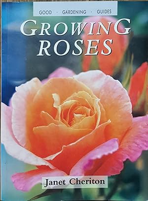 Growing Roses