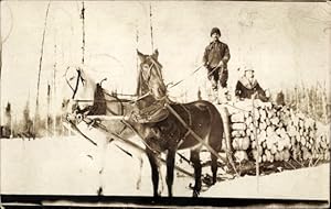 Foto Ansichtskarte / Postkarte Pferde ziehen einen Holzschlitten, Mann, Winteransicht