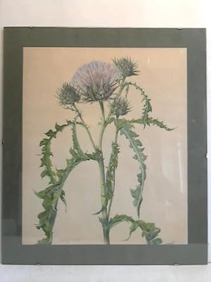 Image du vendeur pour Blumenbild: Distel - Schnes Aquarell mis en vente par Celler Versandantiquariat