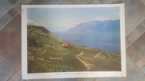 Schweiz - Weinterrassen am Genfer See (Nähe Vevey). Schulwandbild