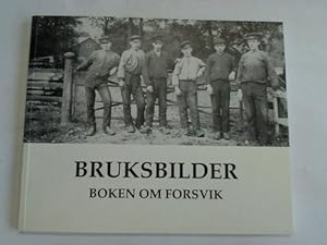 Bild des Verkufers fr Bruksbilder. Boken om forsvik zum Verkauf von Celler Versandantiquariat