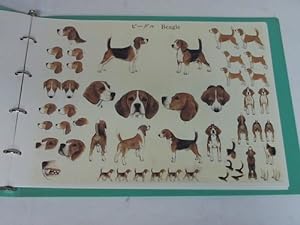 Illustrated Breed Standards