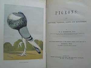 Pigeons: Their Structure, Varieties, Habits, and Management