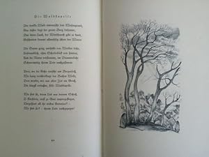 Der trübe Wanderer. Lieder an die Natur