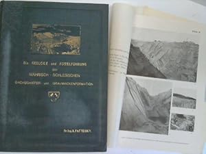 Die Geologie und Fossilführung der Mährisch-Schlesischen Dachschiefer- und Grauwackenformation