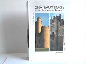 Chateaux Forts et fortifications en France