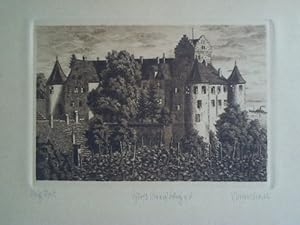 Blick auf das Alte Schloss Meersbug - Original-Radierung, von J. Marschall