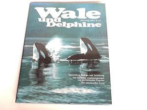 Bild des Verkufers fr Wale und Delphine zum Verkauf von Celler Versandantiquariat