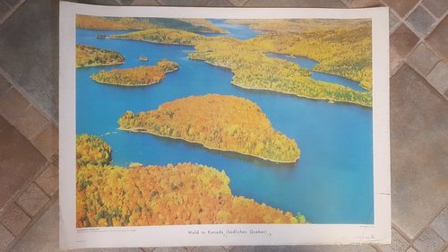 Wald in Kanada (Südliches Quebec). Schulwandbild