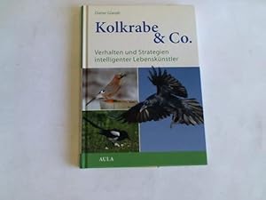 Seller image for Kolkrabe & Co. Verhalten und Strategien intelligenter Lebensknstler for sale by Celler Versandantiquariat