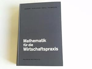 Seller image for Mathematik fr die Wirtschaftspraxis for sale by Celler Versandantiquariat